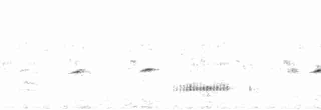 Common Nightingale - ML238259211
