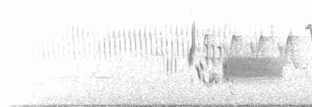 Приморская овсянка-барсучок - ML238264411