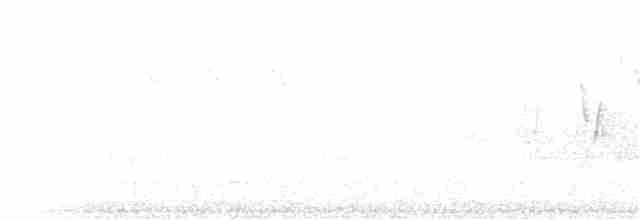 Дроздовый певун - ML238273501