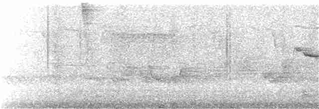 キヅタアメリカムシクイ（coronata） - ML238273591