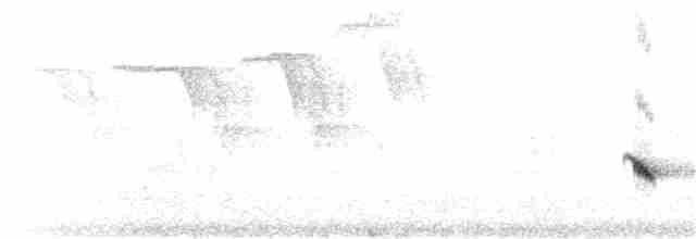 Чернокрылая пиранга - ML238273901