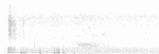 Kara Kanatlı Piranga - ML238275251