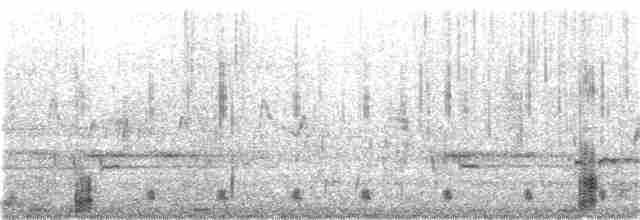Common Merganser (North American) - ML238277371