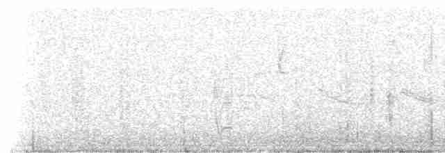 Cinereous Finch - ML238287