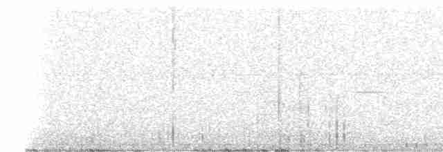 Ak Kaşlı Çıtkuşu - ML238292