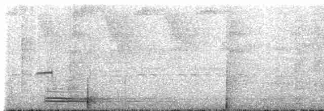 Broad-billed Motmot (Plain-tailed) - ML238305