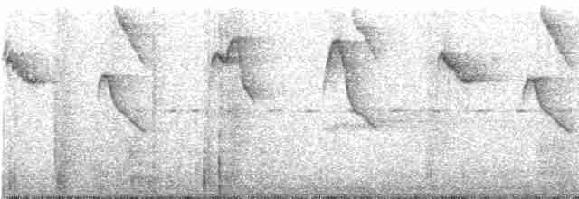 Черногорлый колибри-отшельник - ML238307