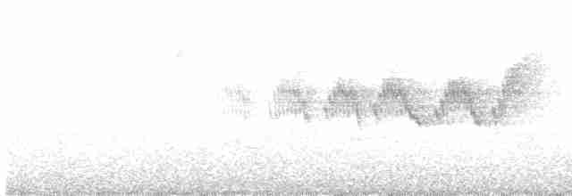 Cerulean Warbler - ML238359851