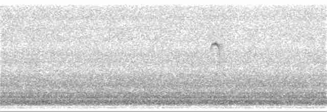 Sperlingsvogel, unbestimmt - ML238364251