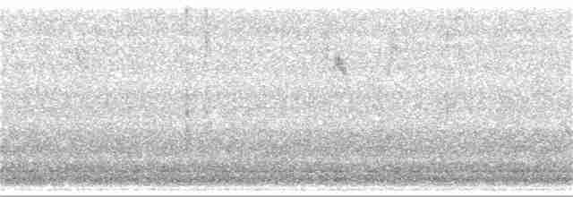 Sperlingsvogel, unbestimmt - ML238365071