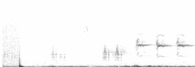 Great Reed Warbler - ML238414121