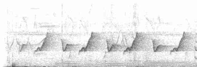Tangara de San Pedro (forma no descrita) - ML238438