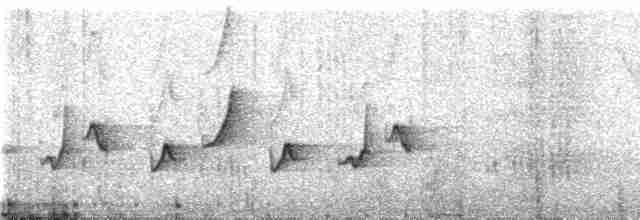 Tangara de San Pedro (forma no descrita) - ML238442