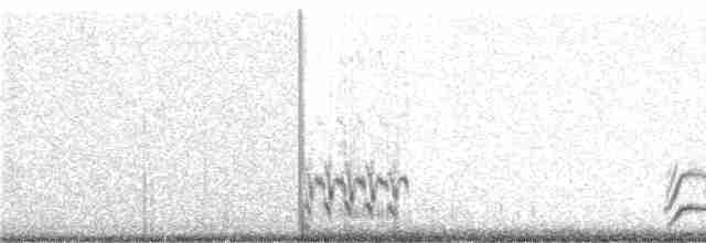 Phénopèple luisant - ML238461