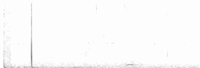 Сова плямиста - ML238461511