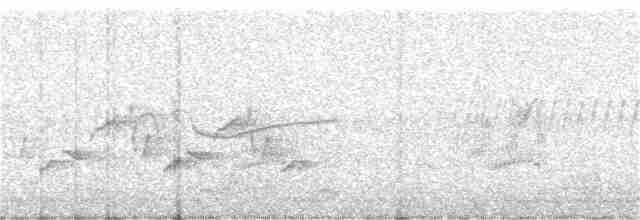 Alder Flycatcher - ML238517561