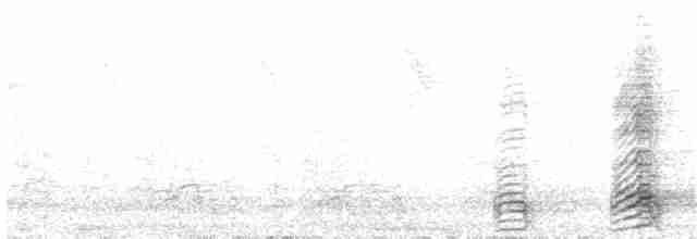 Арауканская чачалака - ML238525121