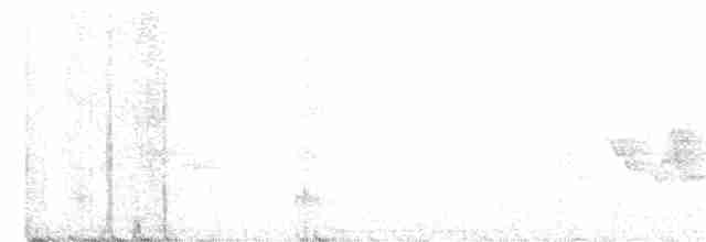 Белокрылая канделита - ML238571041
