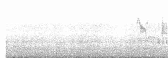Western Subalpine Warbler - ML238576401