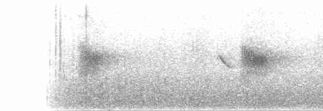 キタオビナシショウドウツバメ - ML238602441