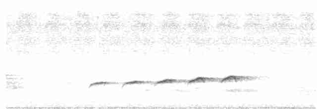 Вилохвостая дронговая кукушка - ML238748661