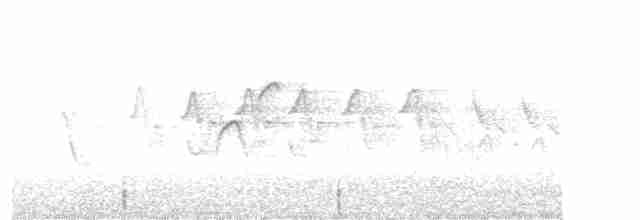 Batı Amerika Sinekkapanı (occidentalis/hellmayri) - ML238784671
