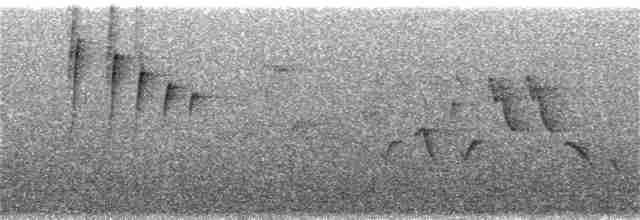 Gouldnektarvogel (dabryii) - ML238794891