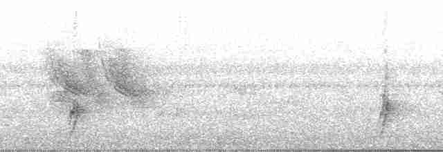 Esmer Arapbülbülü [tricolor grubu] - ML23881