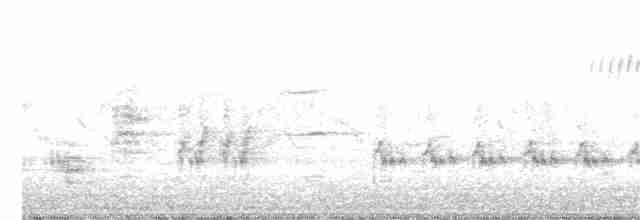 Great Reed Warbler - ML238820271