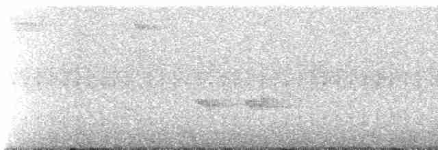 blånakkemaurpitta - ML238847