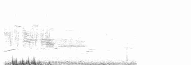 pygmérørdrum - ML238860241