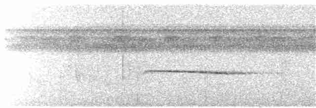 Halsband-Degenschnäbler - ML238900911