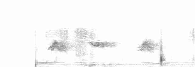 Kara Kanatlı Piranga - ML238905711