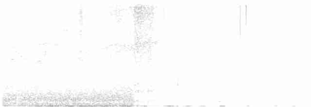 White-spectacled Bulbul - ML239016361