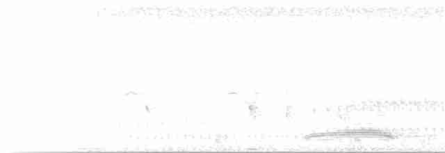 Ara hyacinthe - ML239047951