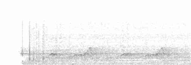 Schwarzkehl-Nachtschwalbe - ML239053081
