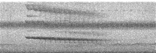 Alción de Esmirna - ML239068511