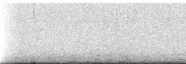 Андская лысуха - ML239096