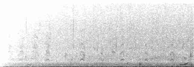 Common Tern - ML239106711