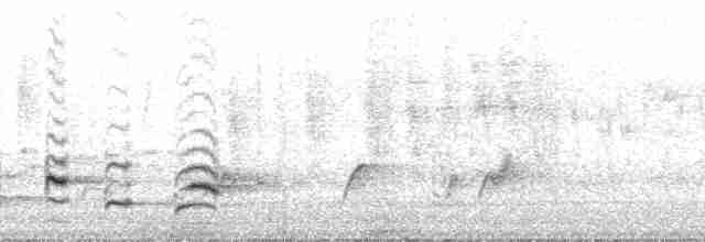 Doğulu Yaprakbülbülü (nigriceps/usambarae) - ML23914