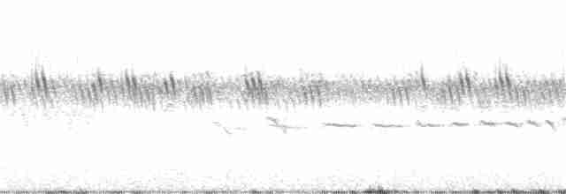 Prairie Warbler - ML239149521