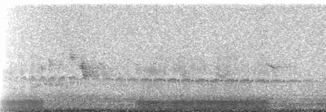 Пухівка горбатодзьоба - ML239155