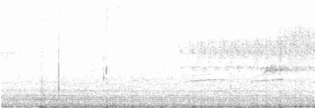 Troglodyte de Baird - ML239183961