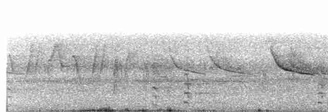 Common Gallinule - ML239200811