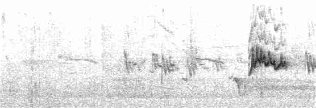 Graumantel-Brillenvogel - ML239219241