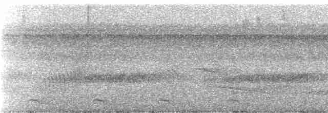 Зубчатоклювый крапивник - ML239266