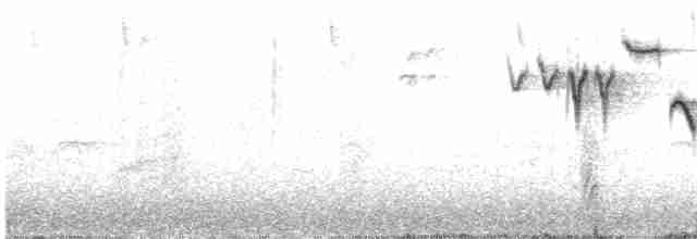 Eurasian Wren (Eurasian) - ML239274001