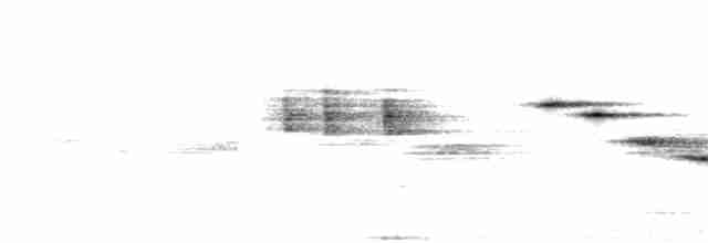 Papamoscas de Tickell - ML239277531