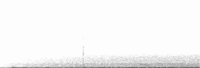 Little Ringed Plover - ML239300001