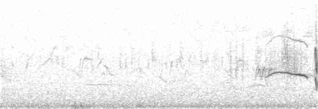 Western Subalpine Warbler - ML239307591